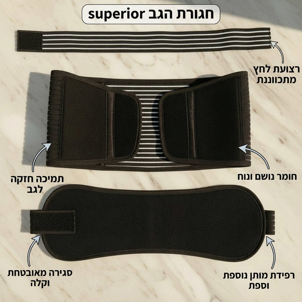 חגורת הגב superior